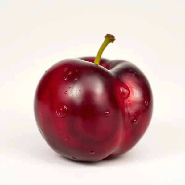 Prune Américaine