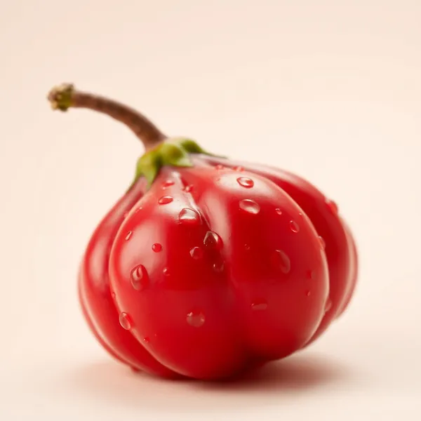 Bilimbi