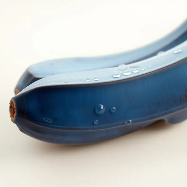 Blue Java Banana