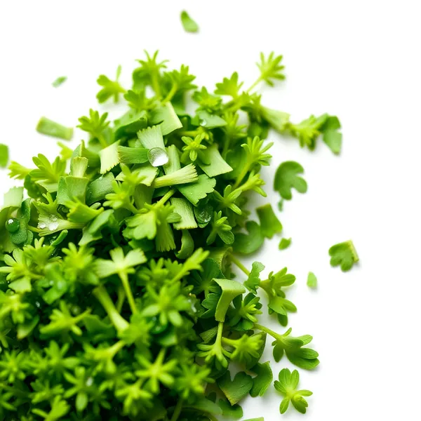 Chopped Oregano