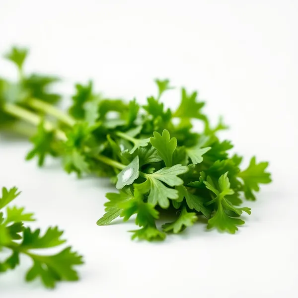 Crushed Chervil