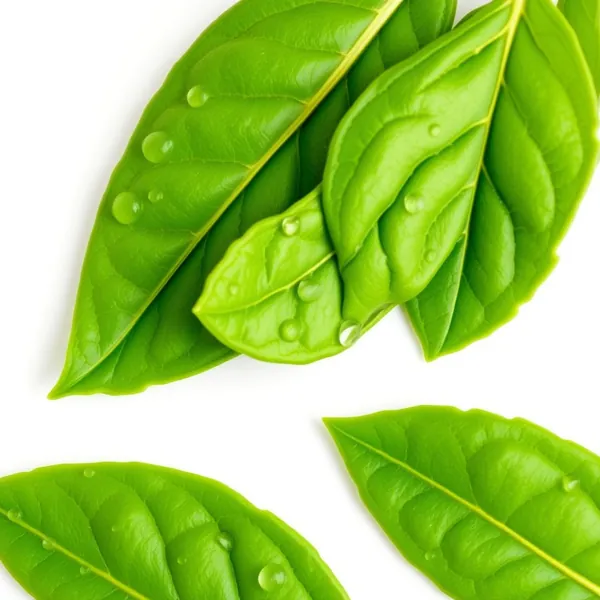 Crushed Kaffir Lime Leaves