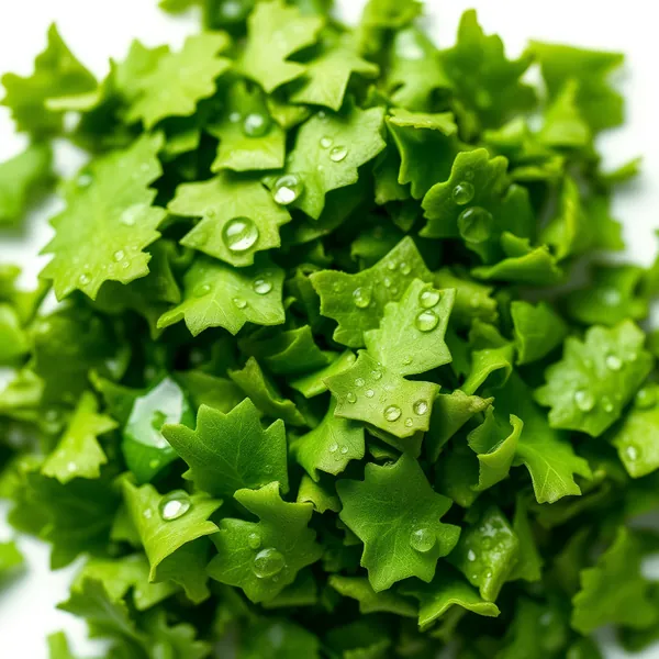 Shiso Écrasé