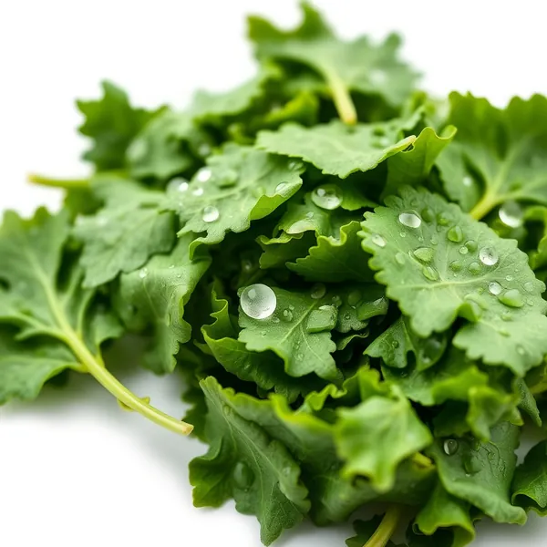 Crushed Sorrel