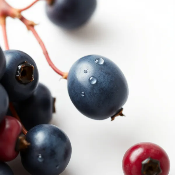 Juneberry