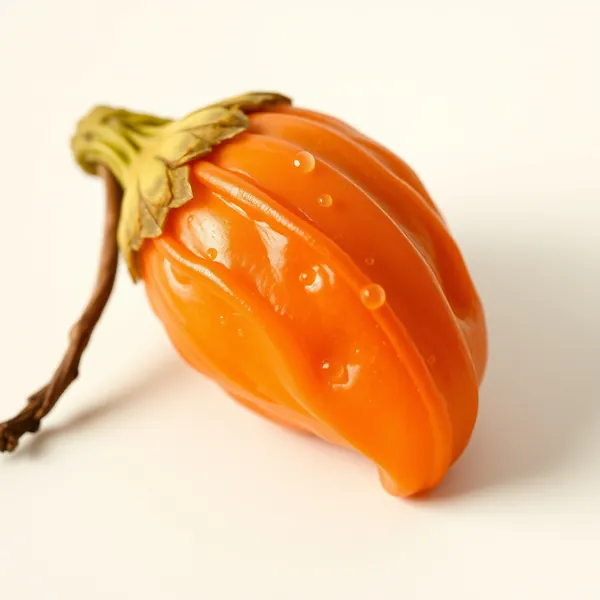 Manila Tamarind Pod