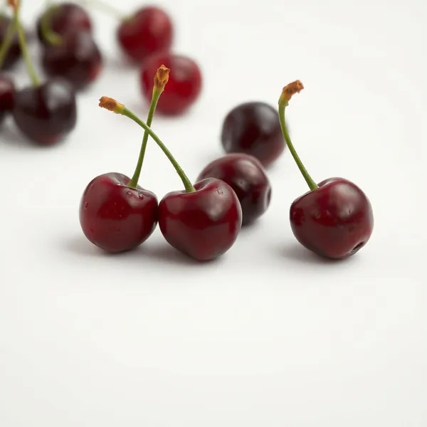 Cerises Acides Montmorency