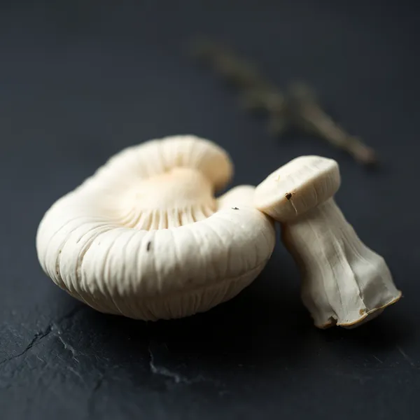 Champignon Branco Inteiro