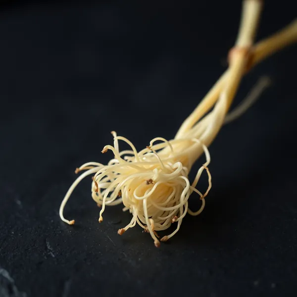 Seta Enoki Salvaje