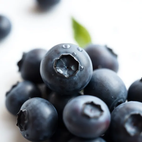 Wild Mountain Blueberries
